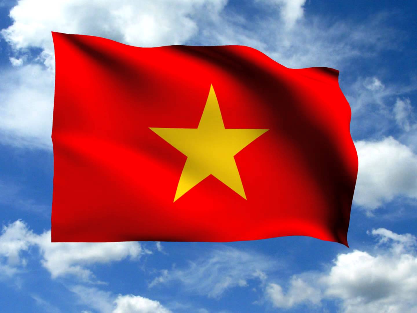 1661123136 647 Hinh anh la co Viet Nam %E2%80%93 co To Quoc