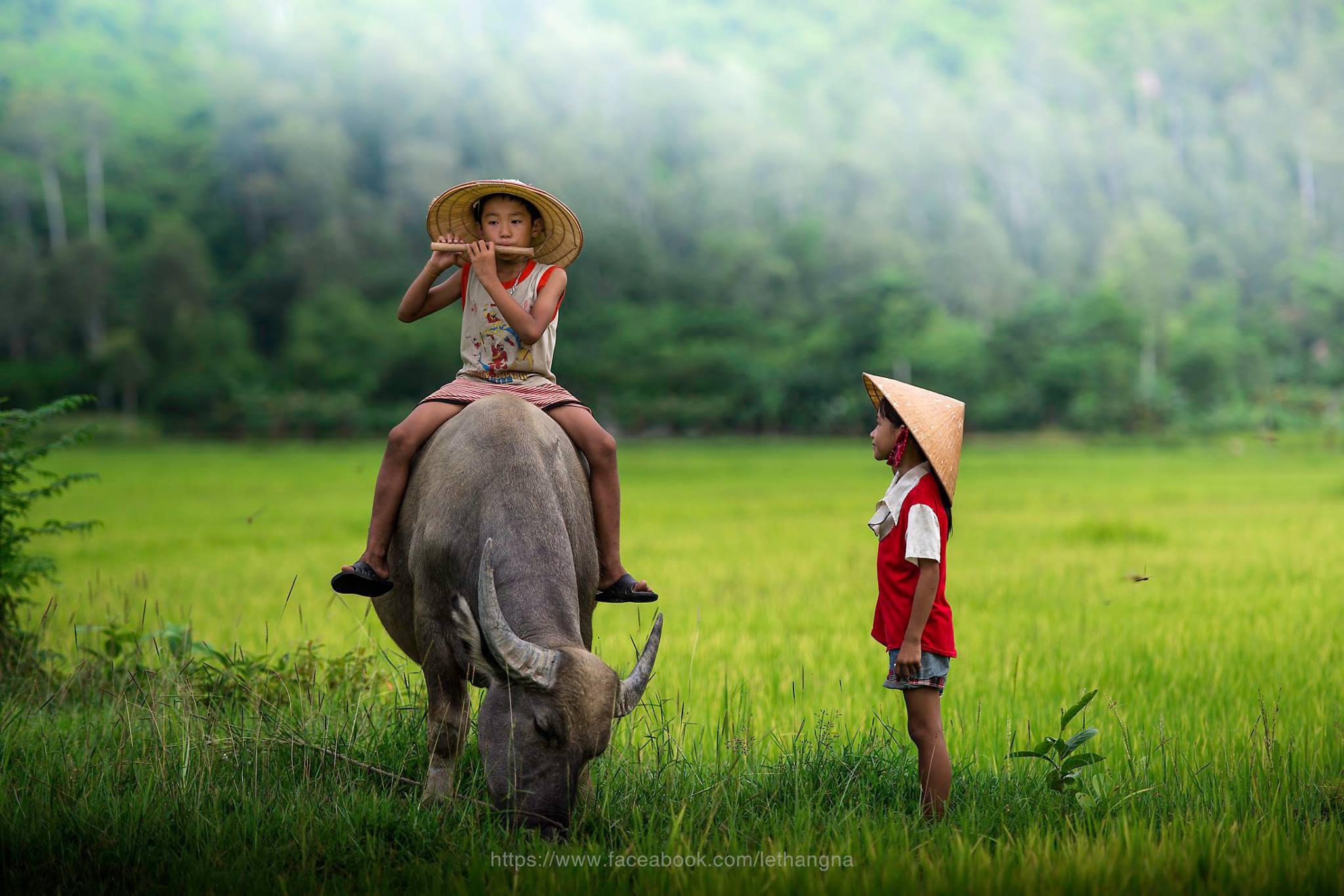 Những hình hình ảnh nông thôn nước Việt Nam rất đẹp ko thể bỏ dở - Trung Tâm ...