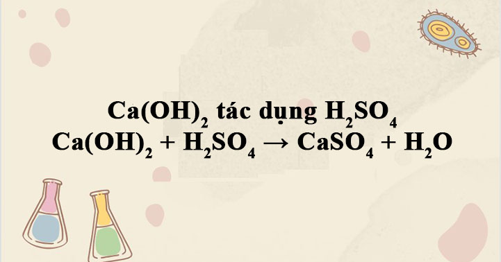 Ca(OH)2 + H2SO4 ⟶ CaSO4 + H2O - Phương trình ion Ca(OH)2 + H2SO4 - VnDoc.com