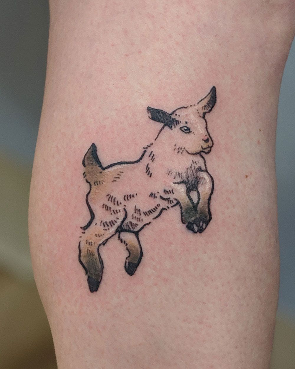 goat tattoo 103942710
